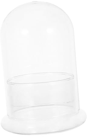 BESTonZON Terrarium Bouteille avec Plantes Terrarium Verre Vase Hydroponique pour Bureau sous Cloche Pot De Fleurs Verre