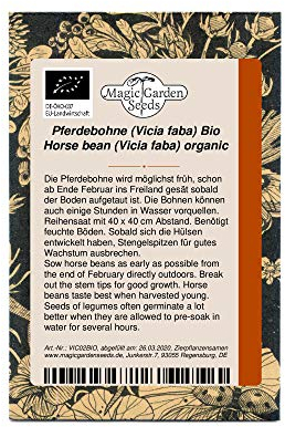 Pferdebohne (Vicia faba) Bio 50 Samen alte Sorte dicke Bohne Saubohne