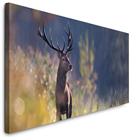 Paul Sinus Art GmbH Hirsch in einem Wald 120x 50cm Panorama Leinwand Bild XXL Format Wandbilder Wohnzimmer Wohnung Deko Kunstdrucke