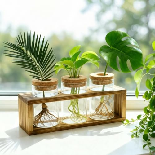Pechaut Station de propagation, terrarium en verre pour boutures de plantes, cadeau idéal pour les femmes, améliore la décoration de la maison, pièce maîtresse d'intérieur idéale pour les amateurs de