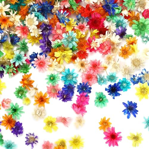 MARFOREVER Trockenblumen zum Basteln, 420 Stück Mini Trockenblumen Bunt Getrocknete Blumen Trockenblumen Kleine Sternblumenköpfe Farbenfrohe Dried Flowers für Kunst DIY Harz Kerze