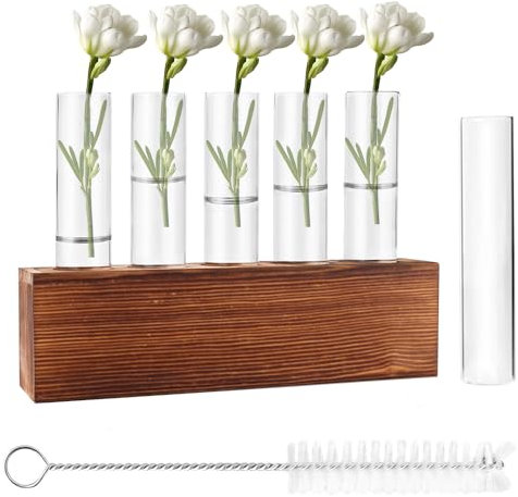 Riisoyu Lot de 6 tubes à essai - Vase à fleurs - Station de propagation des plantes avec brosse de nettoyage - Petits vases avec support en bois - Station de propagation en verre - Plantes