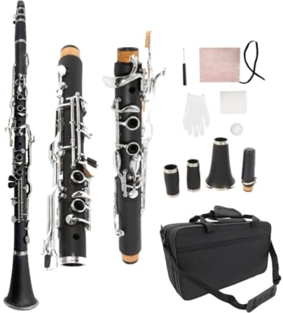 WUQIMUSC Professionelle Klarinette aus Ebenholz, vernickelte Klappen mit Fässern, Blatt-Zubehör, schöner Klang, strapazierfähiges Etui (ekey-clarinet)