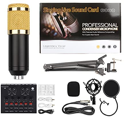 V8, Carte Son en Direct avec Effets, mélangeur Audio USB 2 canaux, amplificateur de Consoles de mixage sonore, Microphone Portable, changeur de Voix, Machine à Effets sonores pour Enregistrement sur