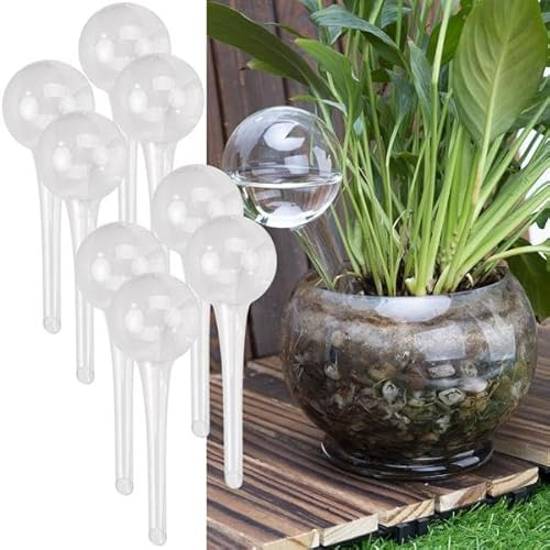 Casativo 8er-Set Effiziente Pflanzen Bewässerungskugeln aus Glas, Ø 6 x H 15 cm, Giesskugeln transparent, ideal für Zuhause, Büro und Ferien