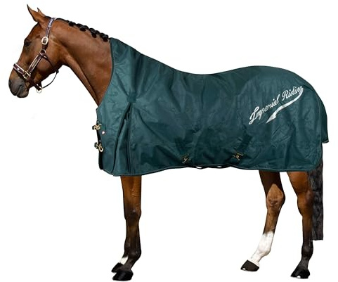 Imperial Riding Outdoordecke IRHSuper-Dry 0gr, Forest Green, 165
