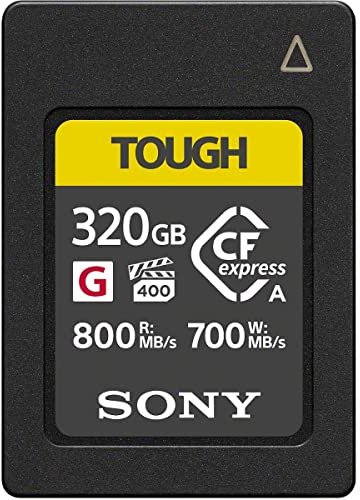 Sony 320 Gb - Typ A-minneskort i CEA-G-serien