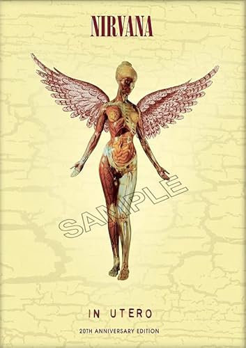 Generic Nirvana Poster Vintage Rock Band Grunge Punk Rock Wall Art Picture A4