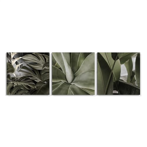 STYLER Leinwandbilder Set Leaves 3x 32x32 cm (AUFHÄNGFERTIG) - Natürliche Pflanzenmotive für Wohnzimmer und Schlafzimmer - Grün Sukkulenten Monstera Palmen Blätter