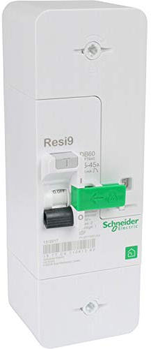 Schneider R9E10345 Disjoncteur de branchement DB60 2P 15/45A 500mA Sélectif