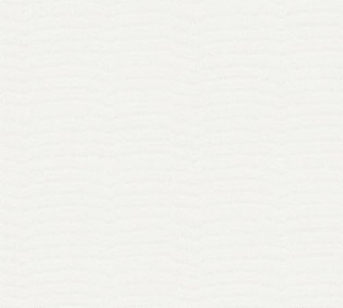 A.S. Création Strukturtapete weiß 393012 - überstreichbare Vliestapete für 26,5 m² - hochwertige Tapete mit Kleinmuster