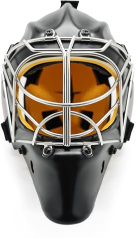 GY Hockey Helmet Ice Hockey Goalie Helmet (6000W-C8-L)