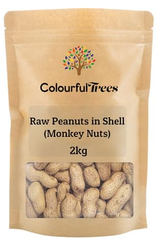 Raw Peanuts in Shell (Monkey Nuts) 2kg for Wild Birds, Squirrel Food, for Garden Birds by Colourful Trees