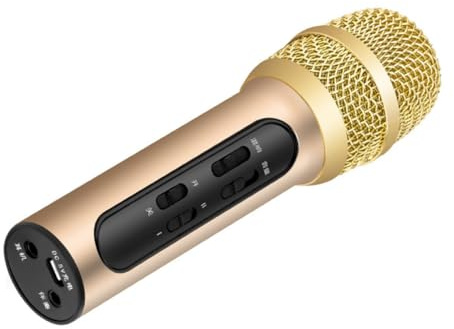 STOBAZA Microphone USB Rechargeable Portable pour Chant Live avec Diaphragme Micro Karaoké Professionnel Léger pour Studio et Événements