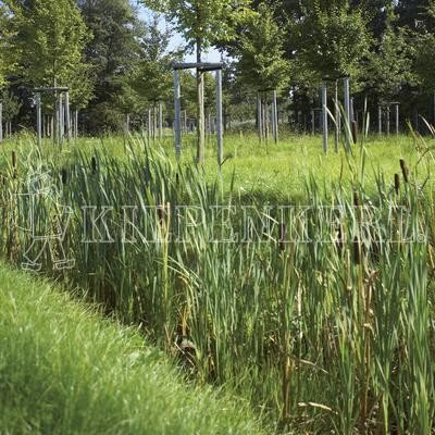 Kiepenkerl 4000159624122 RSM 8.1.1 Biotopmischung 1 kg