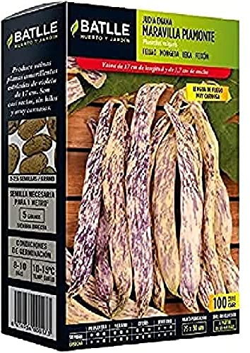 Batlle Graines de Légumes – Nain de Maravilla Piamonte (100 g)