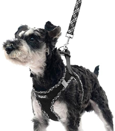 PUPTECK Step-in Dog Harness Small Dog No Pull Vest and Lead Set for Puppy Cats Outdoor Walking, Black S