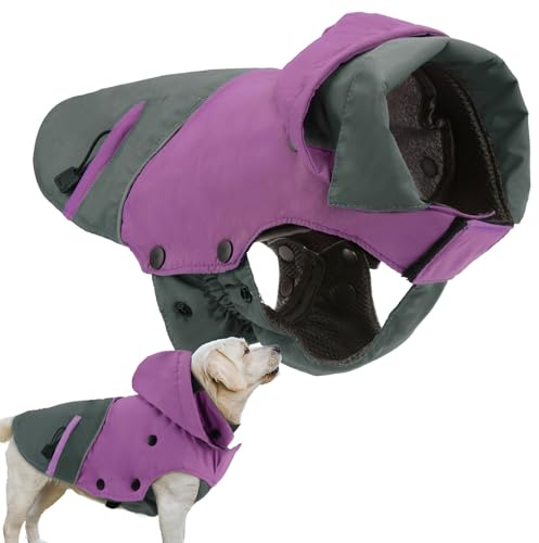 PETLOFT Hundewinterjacke, Reflektierende Hundewinterjacke Winddicht Warme Fleecejacke für Draußen mit Herausnehmbarem Fleecefutter (XL, Violett)