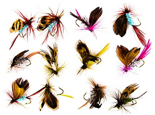 12-teiliges Fliegenfisch-Köder-Set, Nass- und Trockenköder, Haken für Barsch, Forellen, Fliegenfischen mit geschärftem Haken, Fliegenfischen