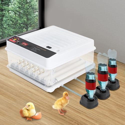 Inkubator 38 Eier Vollautomatische Inkubator Brutmaschine Mit Automatisches Umdrehen Eier,Automatische Temperaturregelung,LED Licht,Einstellbaren Abstände (Weiß + Klar)