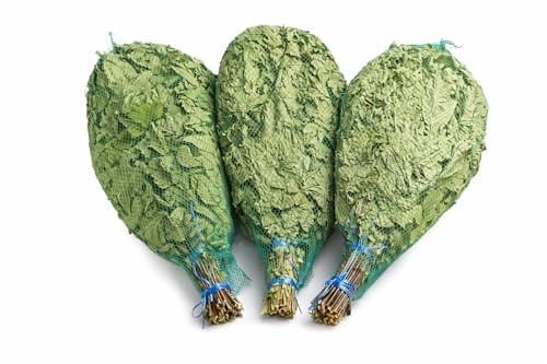 Saunabesen aus Eiche – Set 3 Stück | Kanadische Eiche | Handgebundene Venik für Sauna & Banja | Naturbelassen | Wellness & Entspannung