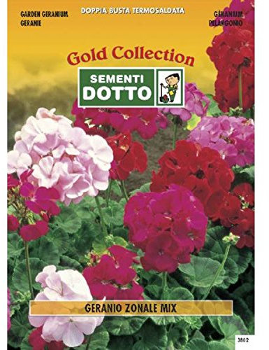 Semi di Geranio Zonale in Mix - h cm 45