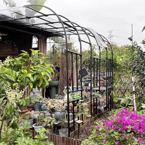 Halbseitiger Gartenbogen, an der Wand montierter Rosenbogen aus Metall, Pergola-Spalier, Weinreben-Torbogen, Außendekoration, Gartenlaube, Lauben für Kletterpflanzen (Größe: 240 x 240 x 40 c