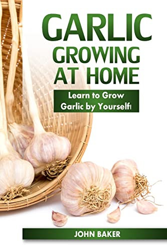 Garlic Growing at Home: Learn to Grow Garlic by Yourself!