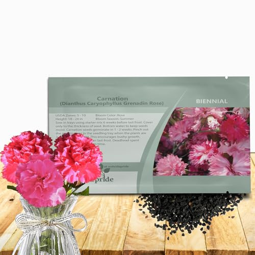 Outsidepride Rose Carnation Seeds - 1000 Pcs Biennial, Easy to Grow Flower Seeds for Planting with Fragrant Blooms, Ideal for Pollinators, Cutting Gardens, Bouquets, & Floral Arrangements