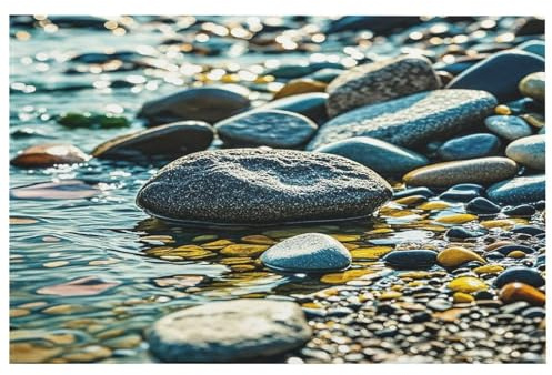 Rocks and Pebbles Area Rug for Entryway Washable Rugs with Non Slip Rubber Backing for Kitchen Soft Stain Resistant Small Carpet for Bedroom Bathroom Floor Decor