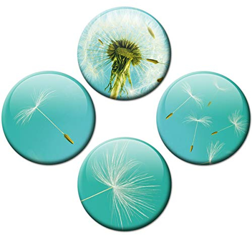 Kühlschrankmagnete Pusteblume 4er Geschenk Set Magnete Blumen für Magnettafel stark groß Ø 50 mm Türkis