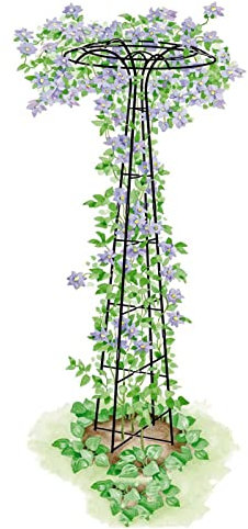 ZYFA Arche Obélisque de Jardin Treillis Support Tuteur Colonne, métal Arceau à Rosier Pieu Tuteurs Plantes,pour Plantes Grimpantes,Fleurs,D'arbustes,Ornement de Cour,Décoration Patio