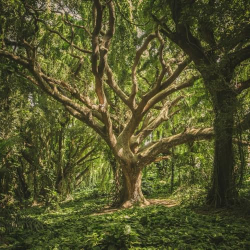 Mein Poesie Album - ein quadratisches Buch zum Zeichnen, Schreiben, Philosophieren mit Skizzen- und Fotoseiten von Seraphiiia-Design | Ideal als ... Malbuch, Skizzenheft, Zeichenbuch | Baum