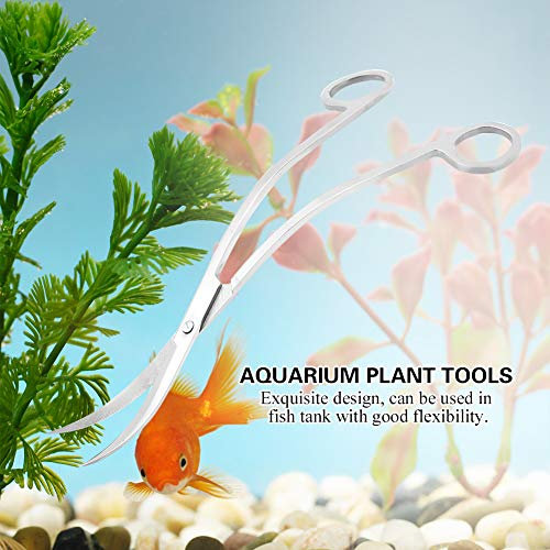 Aquarium-Schere, Gebogene Schere, Extra Lange Aquarium-Schere für Wasserpflanzen, Pflanzenschere, Trimmen von Innen-Edelstahl, Gebogene Aquarium-Schere, Werkzeug Zum Trimmen von