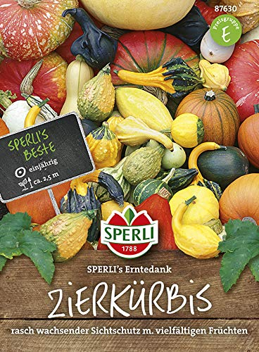 Sperli-Samen Zierkürbis Gross- und kleinfrüchtige Mischung SPERLI's Erntedank