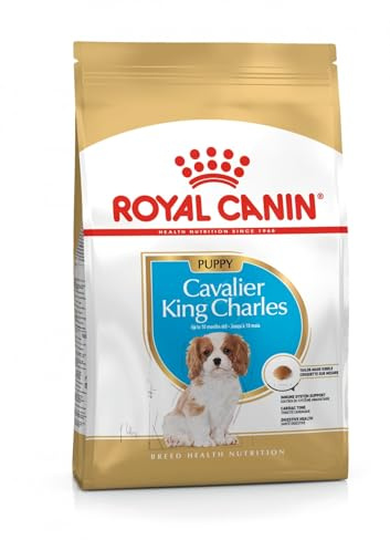 Royal Canin BHN Cavalier King Charles Spaniel Puppy – Dry Puppy Food – 1,5 kg