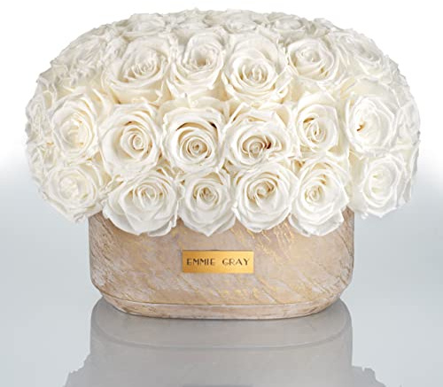 Solid Infinity Collection Golden Sand Oval - Traumhafte Infinity Rosen, 1-3 Jahre haltbare Rosen, Betonvase mit echten, konservierten Rosen, edle Premiumrosen - Größe M (Pure White)
