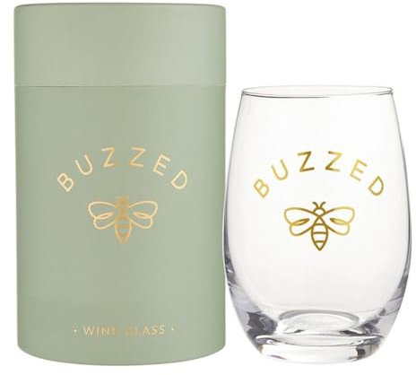 Santa Barbara Design Studio Bicchiere da vino senza stelo in confezione regalo, 500 ml