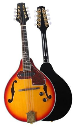Mandoline pour débutants Mandoline pour joueurs Instrument à 8 cordes