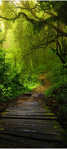 wandmotiv24 Türtapete Holz-Weg in mystischem Wald, Urwald 70 x 200cm (B x H) - Dekorfolie selbstklebend Sticker für Türen, Türfolie, Aufkleber, M1127