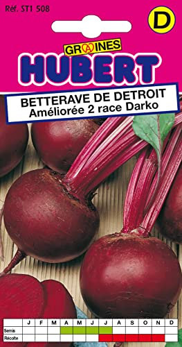 Graines de Betterave De Détroit Améliorée 2 - Race Darko - 4 grammes