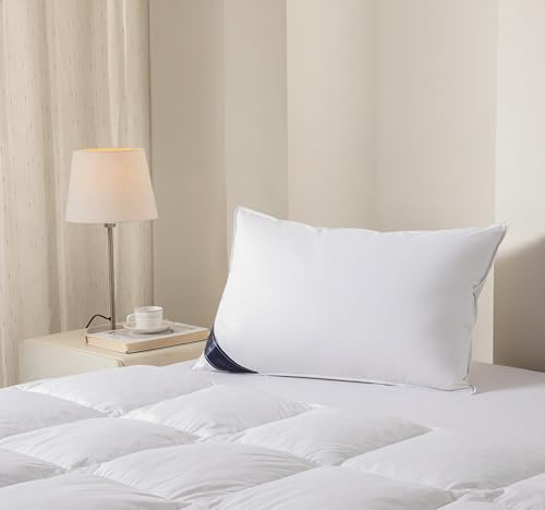 Littens Extra Filled Luxury European Continental 40cm x 80cm White Duck Feather & Down Pillow 230TC 100% Cotton Casing, Down Proof (16 x 32)