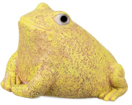 TOYANDONA Frog Key Hider Outdoor Key Storage Box for Garden Use Realistic Frog Decor