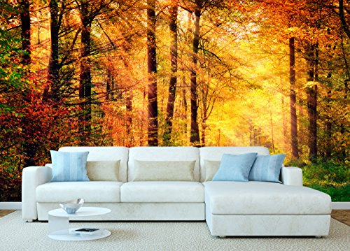 Fotomural Vinilo Bosque Otoño | Fotomurales | Fotomural pared | Fotomural Decorativo | Vinilo Decorativo | 200x150cm | Para la decoración de comedores, salones |