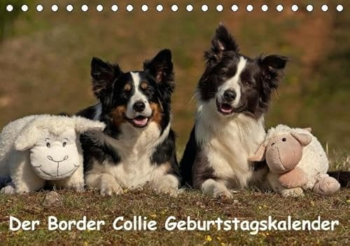 Der Border Collie Geburtstagskalender (Tischkalender immerwährend DIN A5 quer): Mit den Border Collies durch das Jahr (Tischkalender, 14 Seiten) ... [Kalender] [Aug 02, 2014] Mauersberger, Tina
