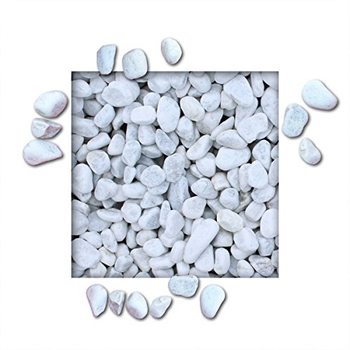 Kieskönig 5 kg Marmorkies Carrara Weiss Verschiedene Körnungen direkt Körnung 25/40 mm