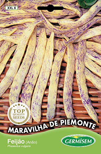 Germisem Maravilha de Piemonte Semillas de Frijol Francés 100 g