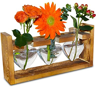 Propagation Station Plant Glass EylKoi - Air Plant Hydroponic Terrarium with Retro Brown Wooden Stand Heart Vase, Desktop Glass Bamboo for Plants Home Office Kitchen Garden Balcony Table Desk, 3Hearts