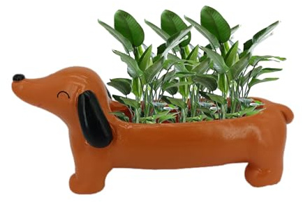 Genérico Plantador Dachshund - Plantador de Decorativo para suculentas