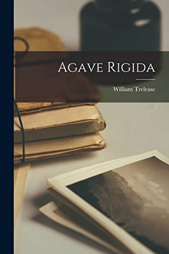Agave Rigida